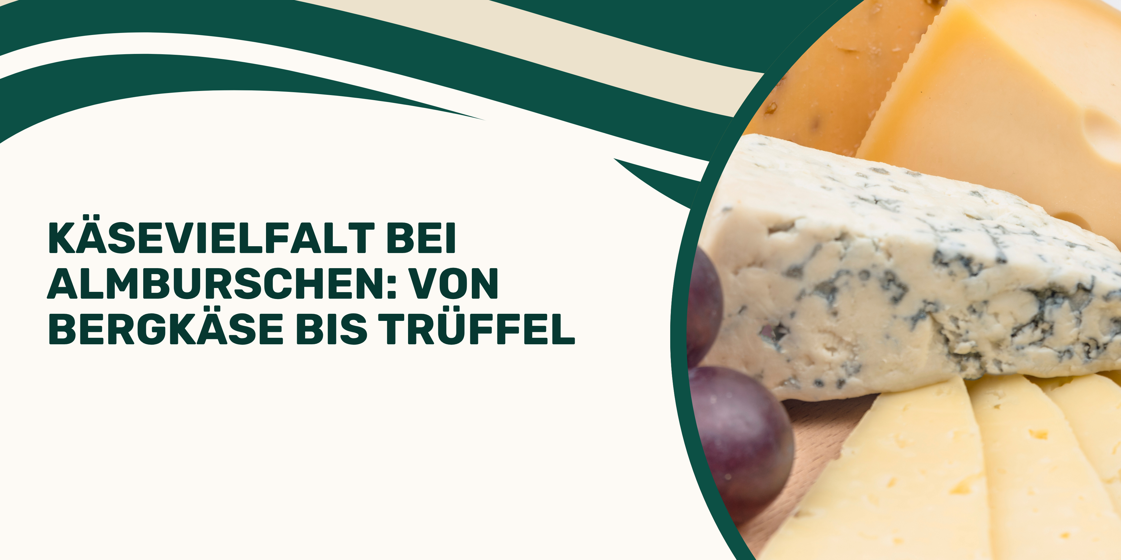 Käsevielfalt bei Almburschen: Von Bergkäse bis Trüffel
